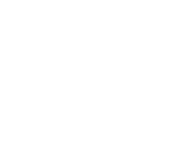 Service-expertise-icon-04